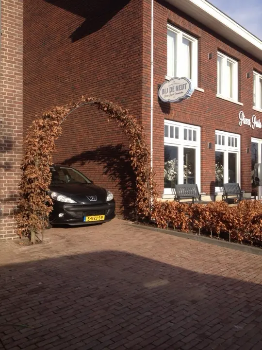 Recent geplaatste vormsnoeiboog met rode beuken